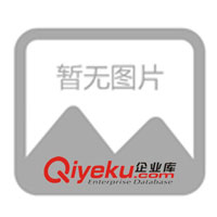 供應(yīng)本安型 超聲波 壁厚測(cè)量器1071-Ex